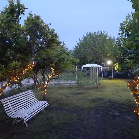 City Pompei Accommodations 2* بومبيي